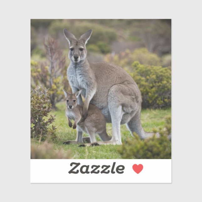 Kangaroo and Joey (Sheet)