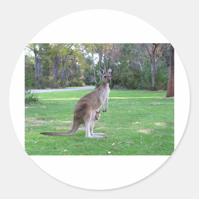 Kangaroo and Joey Classic Round Sticker (Front)