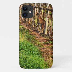 Kangaroo And Joey In Grape Vines, Case-Mate iPhone Case