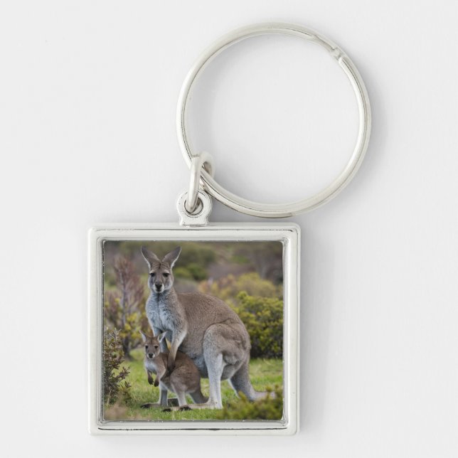 Kangaroo and Joey Key Ring (Front)