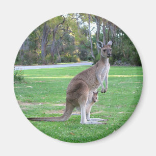 Kangaroo and Joey Magnet