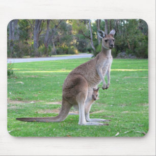 Kangaroo and Joey Mouse Pad