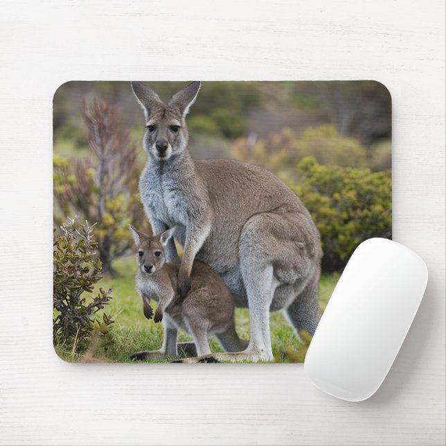 Kangaroo and Joey Mouse Pad (With Mouse)