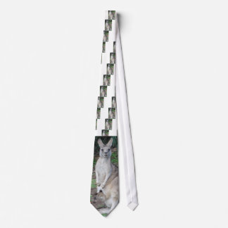 Kangaroo and Joey Tie