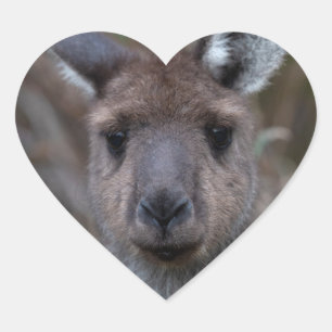 Kangaroo Australia Heart Sticker