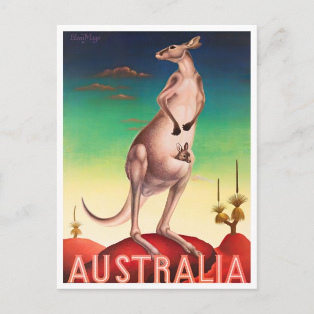 Kangaroo Australia vintage travel Postcard (Front)