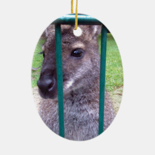 Kangaroo behind bars ceramic tree decoration