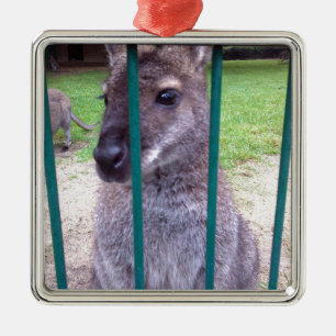 Kangaroo behind bars metal tree decoration