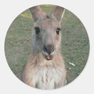 Kangaroo Classic Round Sticker