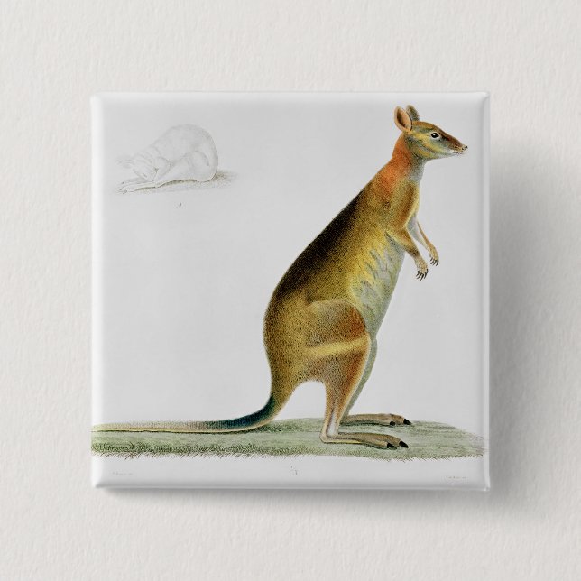Kangaroo, engraved by Coutant 15 Cm Square Badge (Front)