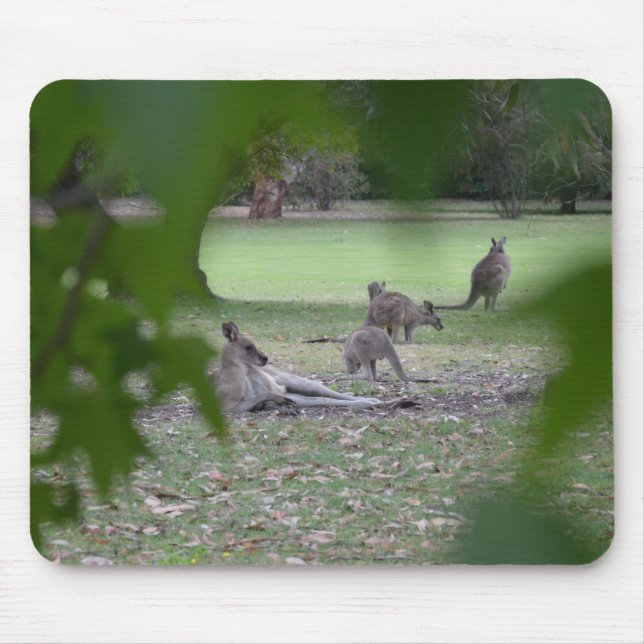 kangaroo family mouse pad (Front)