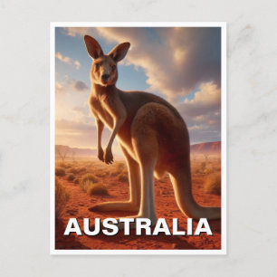 Kangaroo in the Outback Australia Postcard