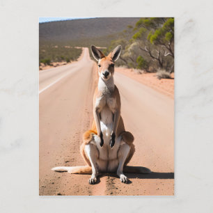 Kangaroo in the Outback Postcard