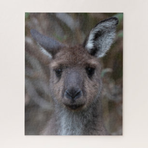 Kangaroo Joey Wildlife, 520 pieces Jigsaw Puzzle