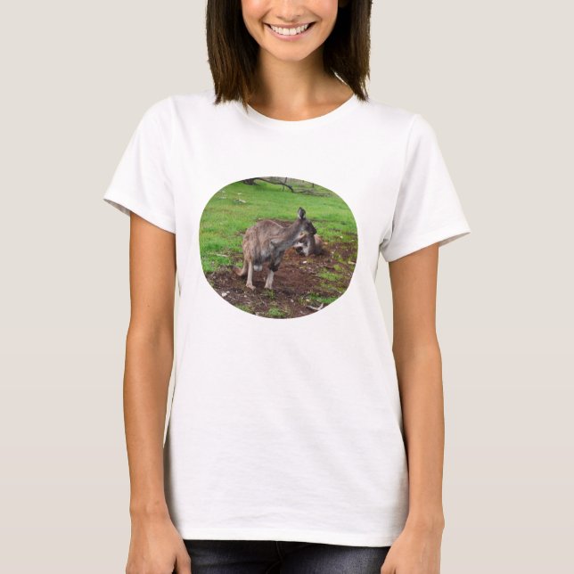 Kangaroo Lazy Day, T-Shirt (Front)