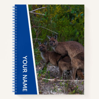 Kangaroo Love Australia Cute Animal, Custom Blue Notebook