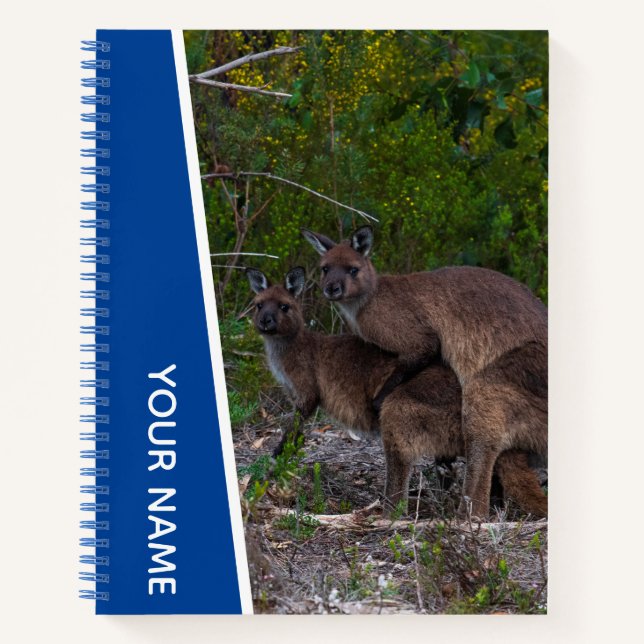 Kangaroo Love Australia Cute Animal, Custom Blue Notebook (Front)