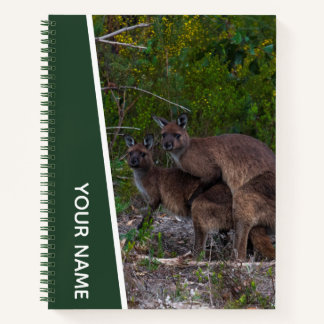 Kangaroo Love Australia Cute Animal, Custom Green Notebook