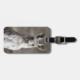 Kangaroo Luggage Tag