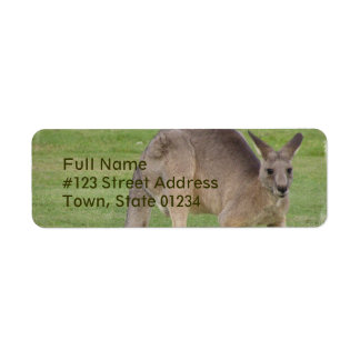 Kangaroo Mailing Label