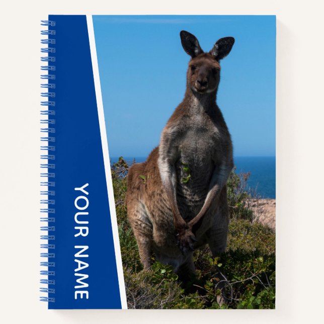 Kangaroo Male in Australia, Custom Blue Notebook (Front)