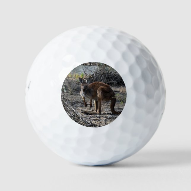 Kangaroo Mean While At The Billabong, Golf Balls (Front)