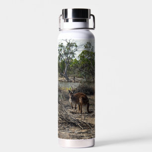 Kangaroo, Meanwhile At The Billabong, Water Bottle