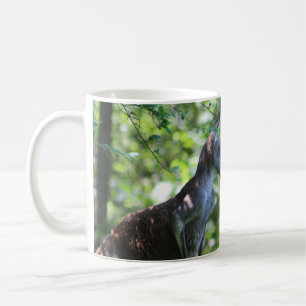 Kangaroo mug