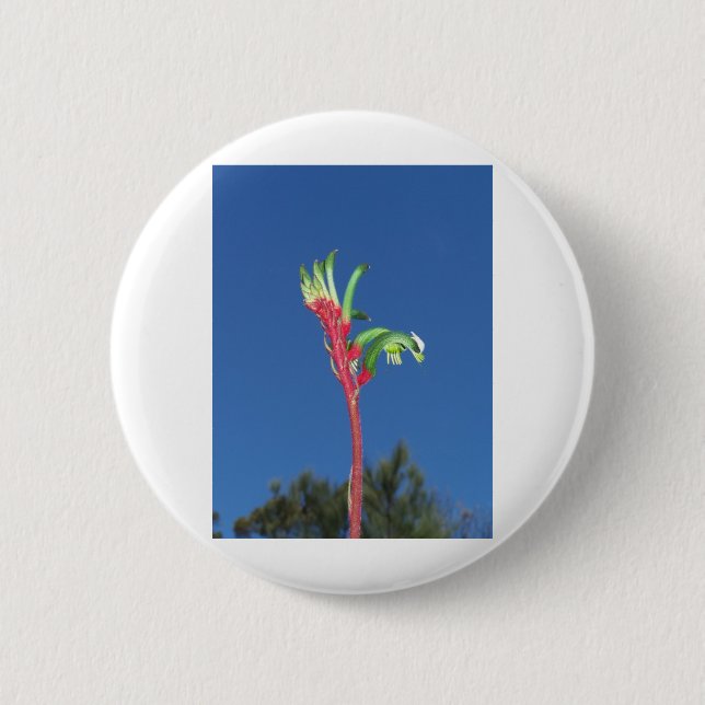 KANGAROO PAW PLANT 6 CM ROUND BADGE (Front)