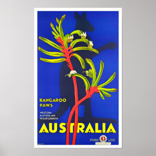 Kangaroo paws Australia vintage travel Poster