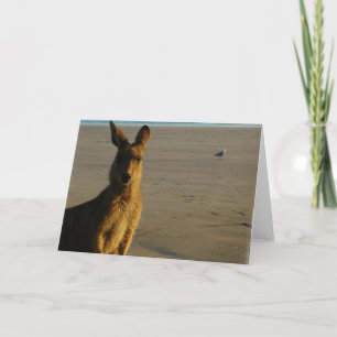 Kangaroo Photo Card