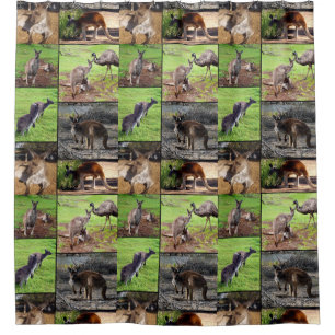 Kangaroo Photo Collage, Shower Curtain. Curtain