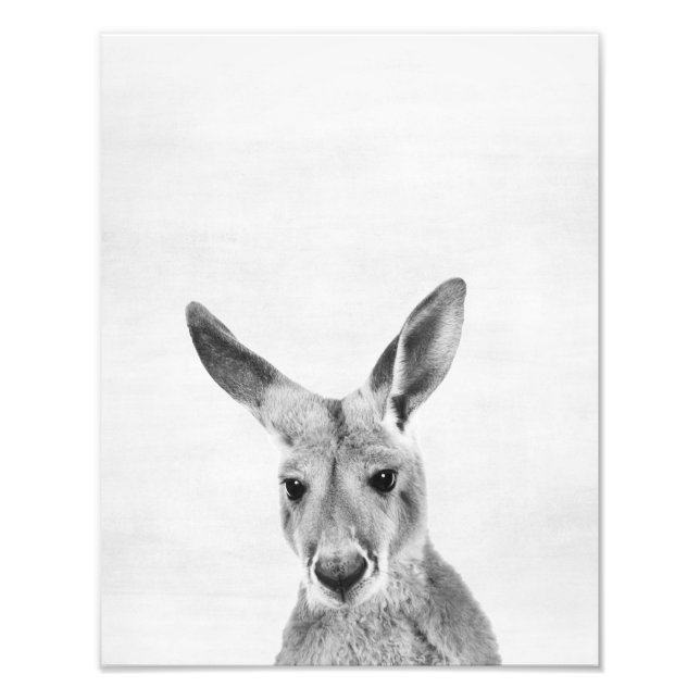 Kangaroo Photo Print (Front)