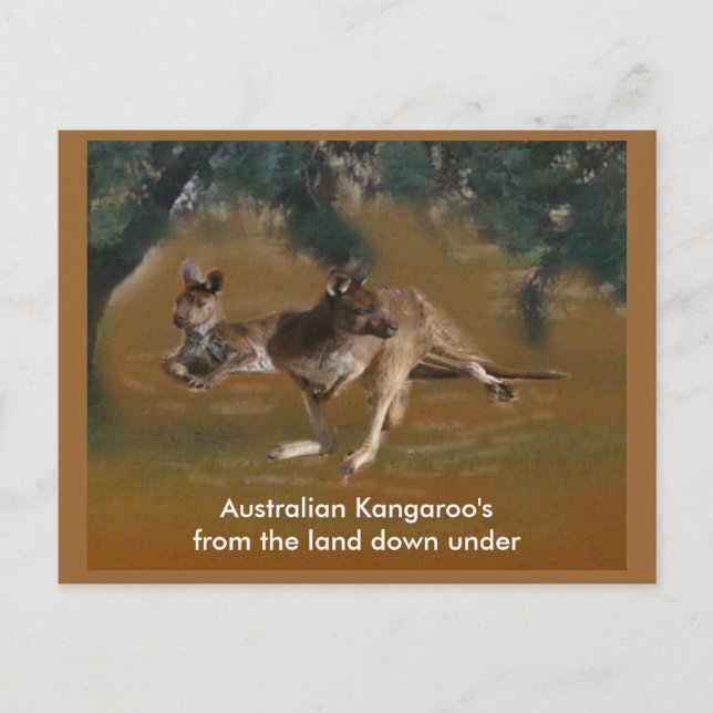 Kangaroo Postcard (Front)