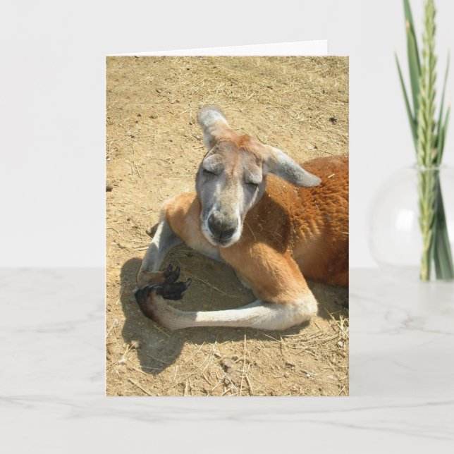 kangaroo praying card (Front)