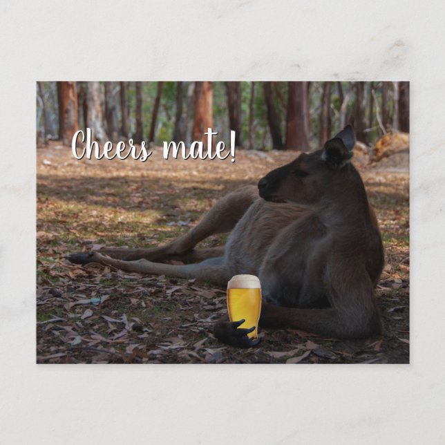 Kangaroo Relaxing with Beer Australia Funny Postcard (Front)