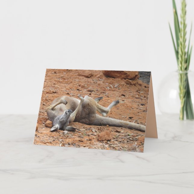 Kangaroo Rolling / Playing in the Dirt Card (Front)