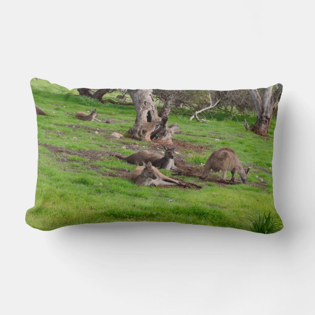 Kangaroo Siesta, Lumbar Cushion. Lumbar Cushion (Front)