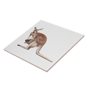 Kangaroo Tile