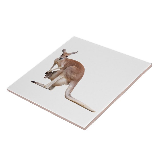 Kangaroo Tile (Side)