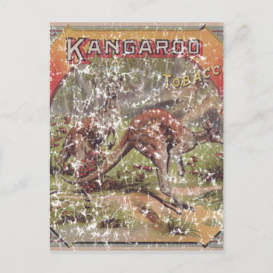 Kangaroo Tobacco 1900 Postcard