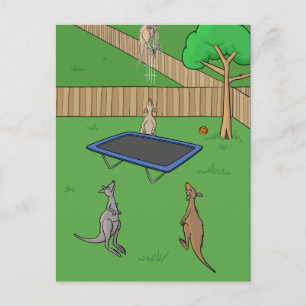 Kangaroo Trampoline Bounce Postcard
