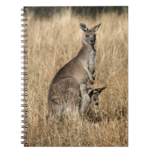 Kangaroo with Baby Joey in Pouch Spiral Notebook
