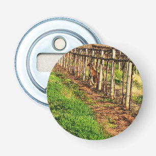 Kangaroo With Joey In Grape Vines, Bottle Opener. Opener