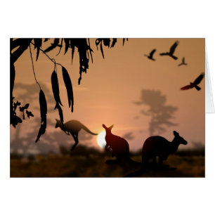 Kangaroos