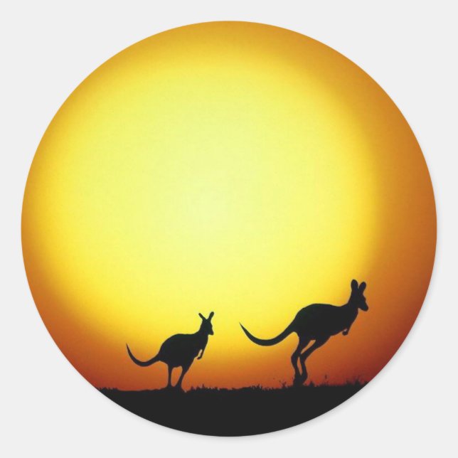 Kangaroos in the Australian Outback Classic Round Sticker (Front)
