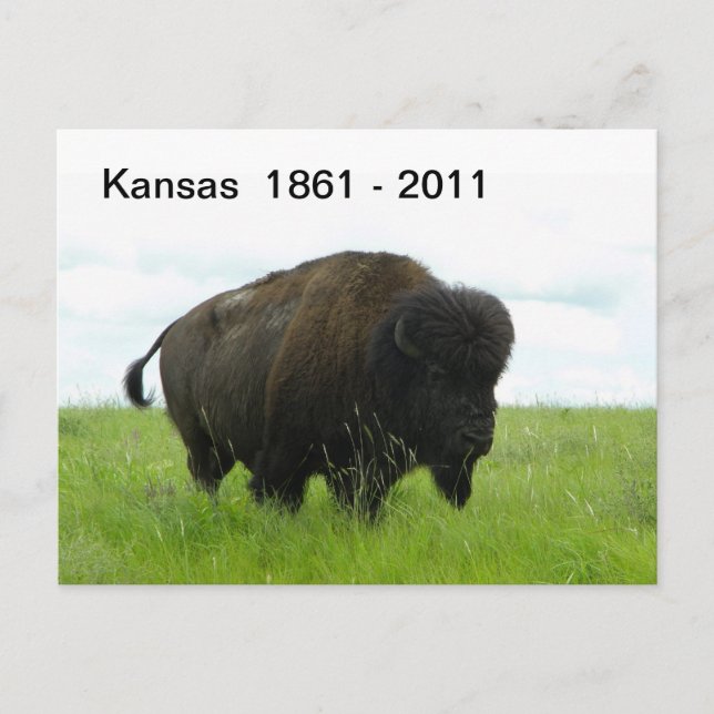 Kansas 1861 - 2011 postcard (Front)
