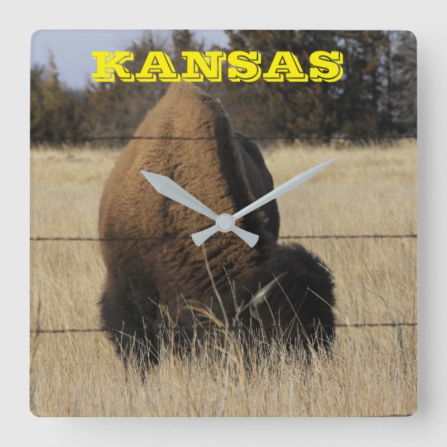 Kansas Buffalo Square Wall Clock (Front)