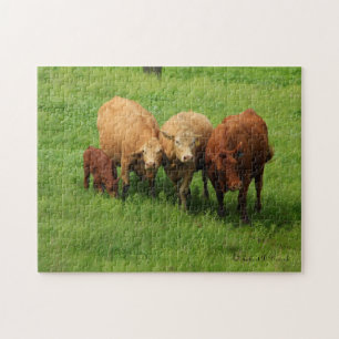 Kansas Cows in a Pasture PUZZLE