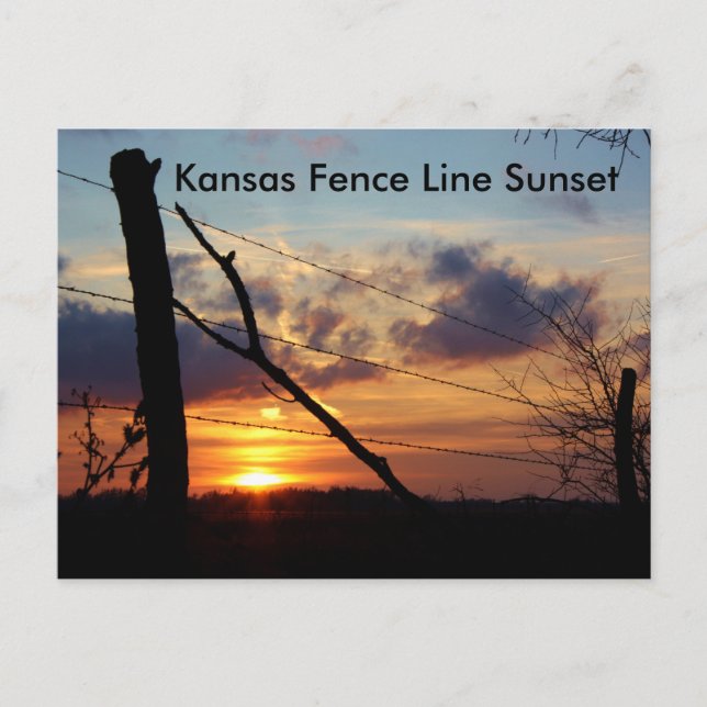 Kansas Fence Line Sunset Post Card (Front)